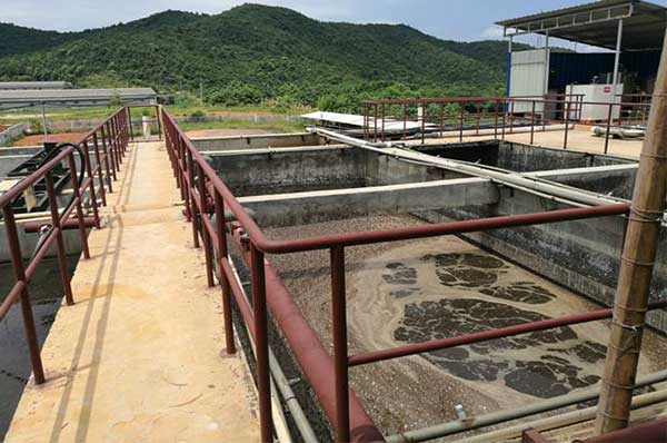 一體化養豬污水處理_沉淀池